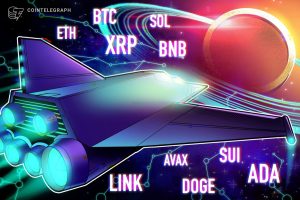 BTC, ETH, XRP, BNB, SOL, DOGE, ADA, SUI, LINK, AVAX
