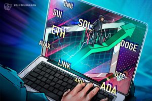 BTC, ETH, XRP, BNB, SOL, DOGE, ADA, SUI, LINK, AVAX