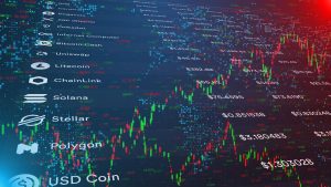 Key Differences Every Crypto Investor Should Understand