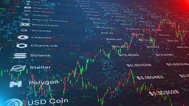 Key Differences Every Crypto Investor Should Understand
