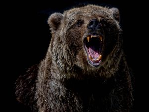 On-Chain Metrics Point to Potential Double Top