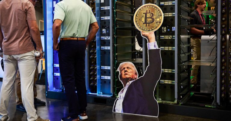 Bitcoin fans aren’t all sold on Trump’s meme coin