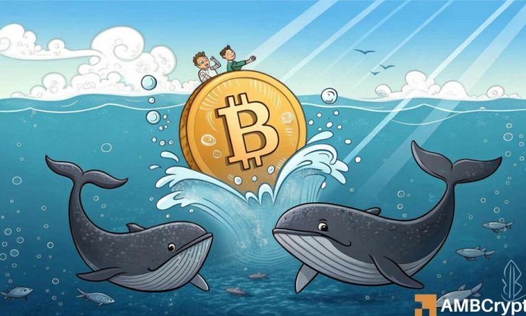 Bitcoin: Whales withdraw 110K BTC – A prelude to a new ATH?