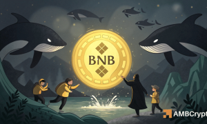 BNB surges, but whales bet against it – Are bulls ignoring the warning?
