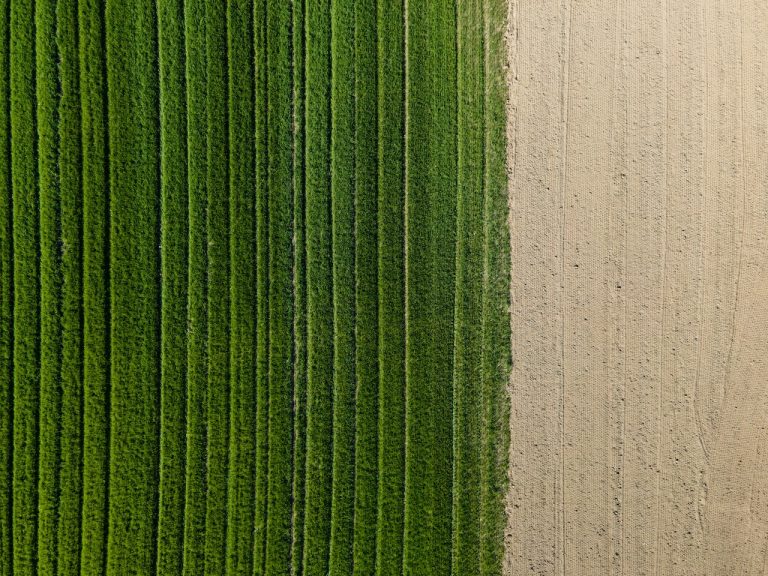 Ripple Impact Pilot: Transforming Agricultural Finance on the XRP Ledger