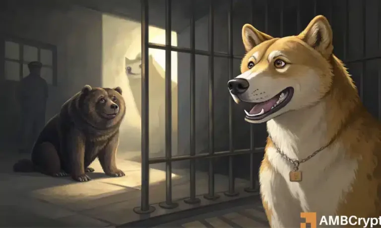 Dogecoin’s 14% drop could be its biggest bear trap yet – Here’s why