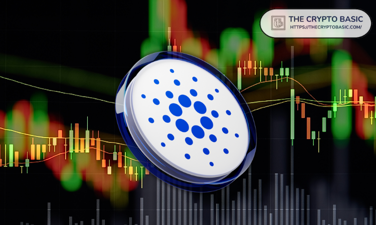 Top Analyst Shares 5 Ingredients for a 1,233% Rally in 2025