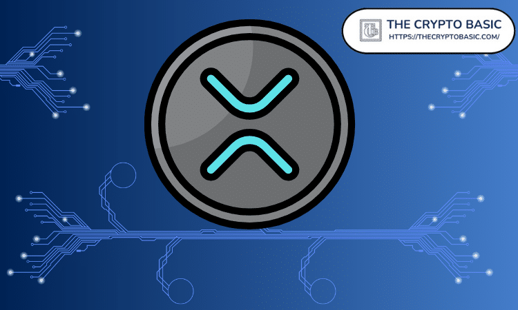 Here’s How Much XRP Could Rise If the Weekly Bull Flag Plays Out