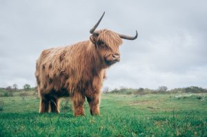 Zcash (ZEC) Tops Key Supply Zone. What Next for the Privacy-Focused Token?