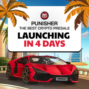 Punisher Coin Joins the Ranks of Breakout Meme Coins