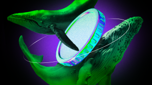 5 Solana Meme Coins ‘Smart Money’ Traders Are Buying Now