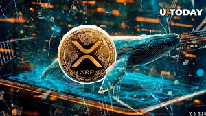 4,000,000 XRP Accumulation: XRP Whales Are Ready
