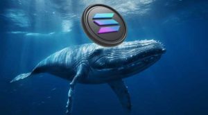 Whale Makes $658K Betting on Solana Meme Coins: Next Meme Coins to Explode