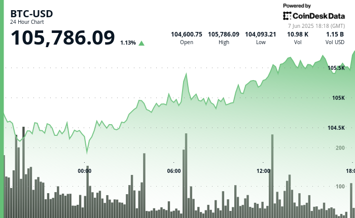 Bitcoin (BTC) Stays Firm as Trump-Musk Feud Escalates Over 2025 Budget Politics