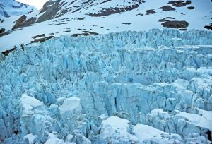 Midnight Network Reveals NIGHT Tokenomics and ‘Glacier Drop’ Airdrop Process