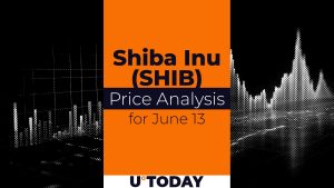 SHIB Price Prediction for June 13