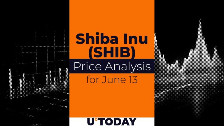 SHIB Price Prediction for June 13