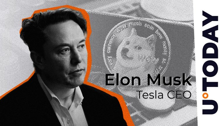 Dogecoin Army Reaffirms Elon Musk as DOGE Evangelist