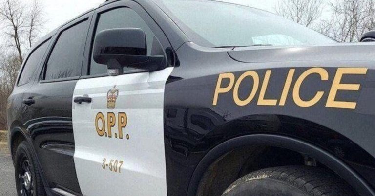 Victim loses $18.5K in cryptocurrency scam: OPP – The Spec