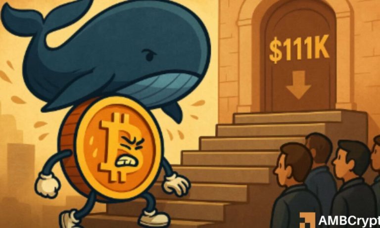 Bitcoin: Despite $11B ETF inflows, BTC stalls below $110K – Reasons?
