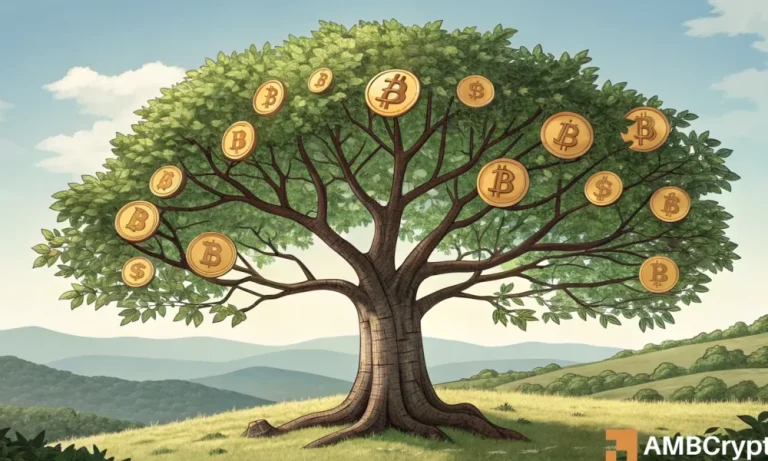 Bitcoin: Here are the clues for what’s beyond BTC ATH; first, look for…