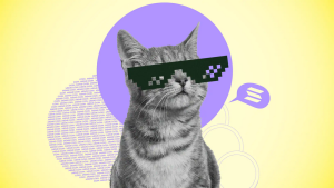 Sentiments, beliefs and communities, do Meme coins have “fundamentals”?