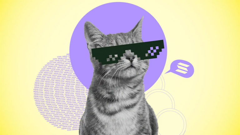 Sentiments, beliefs and communities, do Meme coins have “fundamentals”?