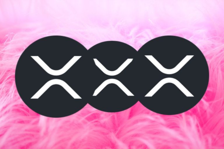 This CEO Reveals He Pays Entire Staff In XRP: Some of Them Are Up 500%