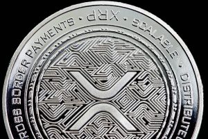 Will Elon Musk Pick XRP Over Dogecoin For X Payments? Market Expert Answers