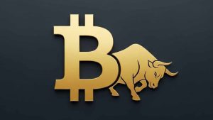 Bitwise CEO: Bitcoin Hits No-Sell Zone Above $130K-$150K – Bitcoin.com News