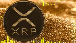 XRP Has Privileged Role on XRPL, Ripple CTO Explains Key Advantages – Bitcoin.com News